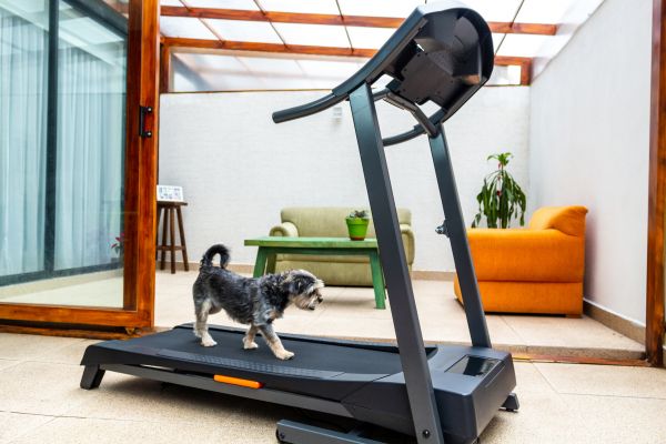 Treadmill Installation in Torrance