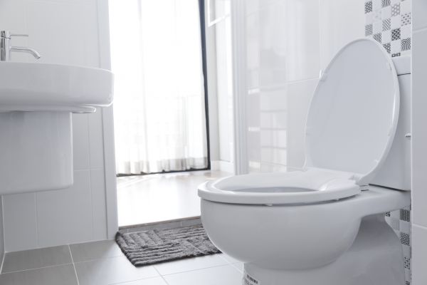 Toilet Seat Installation in Torrance