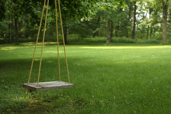 Rope Swing Installation in Torrance