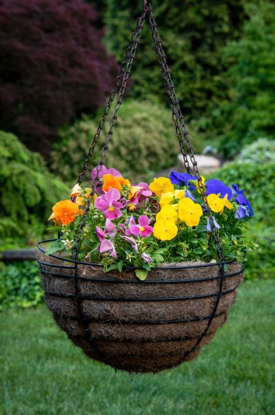 Hanging Basket Installation in Torrance