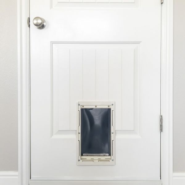 Pet Door Repair in Torrance