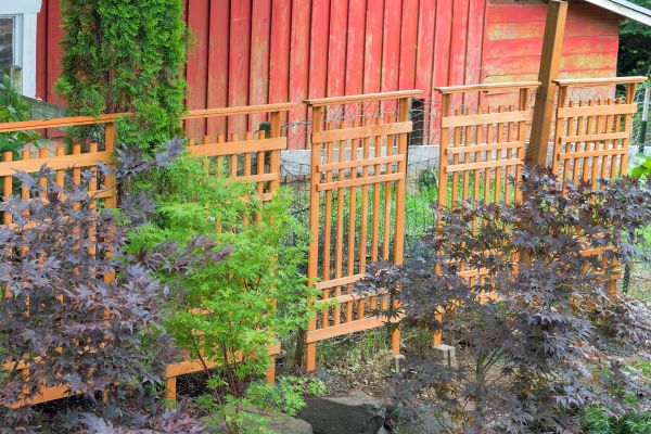 Wood Trellis Mounting in Torrance
