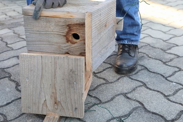 Birdhouse Mounting in Torrance