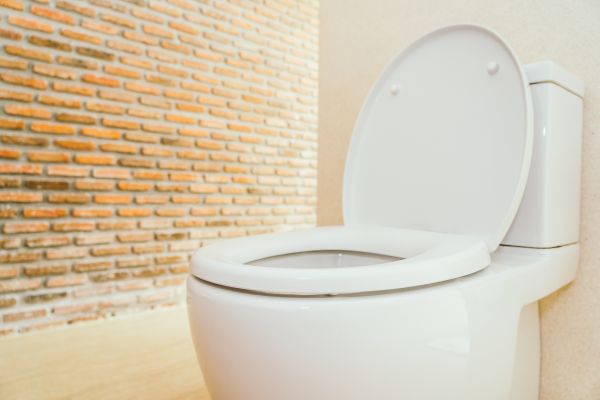 Toilet Seat Repair in Torrance