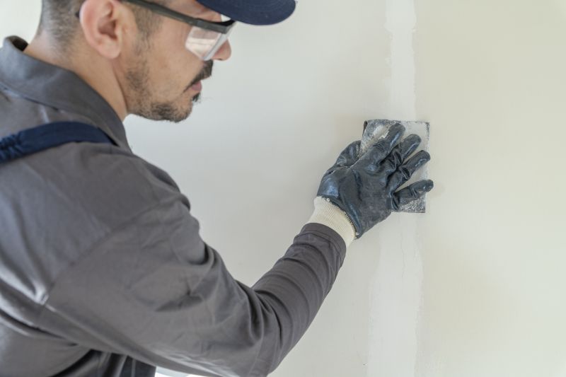Painting and Wall Repairs